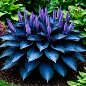 Хоста Сикрет Гров купить по цене от 570р. в интернет-магазине «Посадика» с доставкой почтой в в Кисловодске и по всей России – [изображение №1].